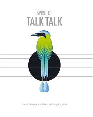 Book cover for Spirit of Talk Talk