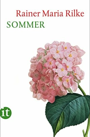 Cover of Sommer