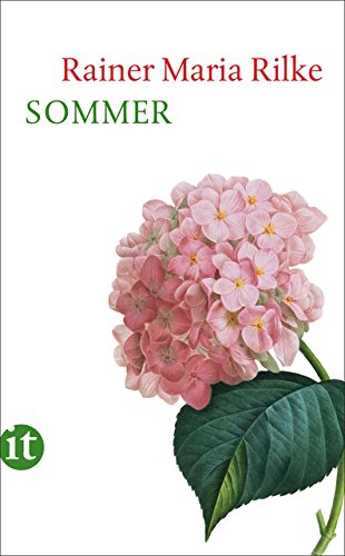 Book cover for Sommer