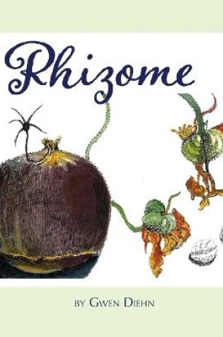 Cover of Rhizome