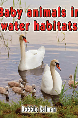 Cover of Baby Animals in Water Habitats