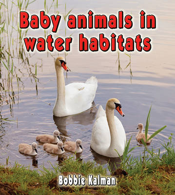 Book cover for Baby Animals in Water Habitats