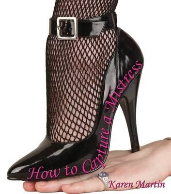 Book cover for How to Capture a Mistress