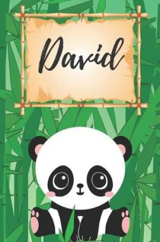 Cover of David Notizbuch Panda / Malbuch / Kritzelbuch / Tagebuch / Journal / DIN A5 / Geschenke