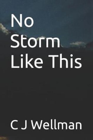 Cover of No Storm Like This