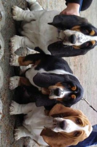 Cover of Cute Basset Hound Dog Trio Journal