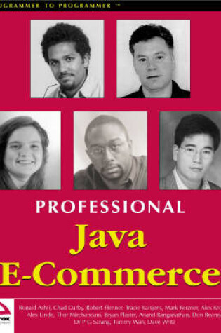 Cover of Professional Java E-commerce