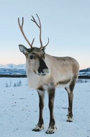 Cover of Reindeer in Winter Journal