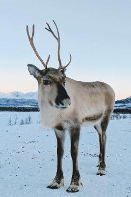 Book cover for Reindeer in Winter Journal