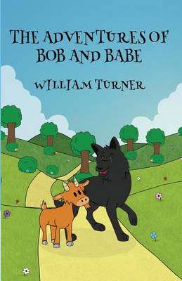 Book cover for The Adventures of Bob and Babe