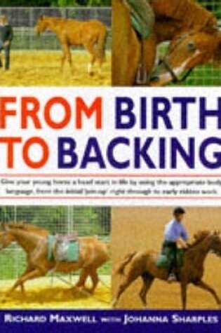 Cover of From Birth to Backing