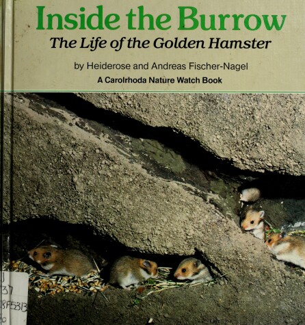 Book cover for Inside the Burrow