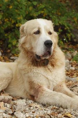 Book cover for Central Asian Shepherd Dog Journal