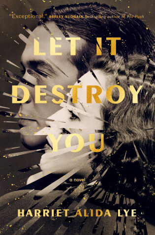 Cover of Let It Destroy You