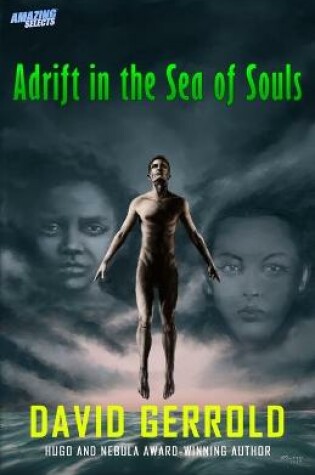 Cover of Adrift in the Sea of Souls