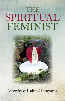 Cover of Spiritual Feminist, The