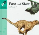 Book cover for Fast and Slow