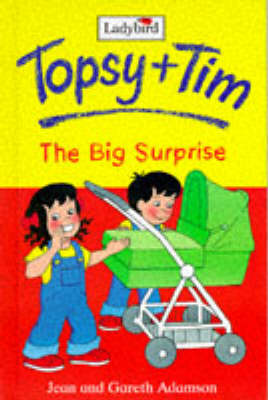 Book cover for The Big Surprise