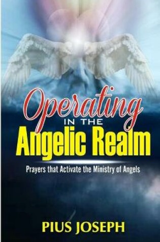 Cover of Operating in the Angelic Realm
