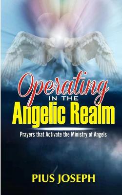 Book cover for Operating in the Angelic Realm