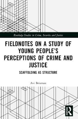 Cover of Fieldnotes on a Study of Young People’s Perceptions of Crime and Justice