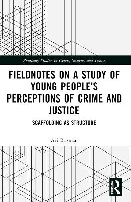 Book cover for Fieldnotes on a Study of Young People’s Perceptions of Crime and Justice