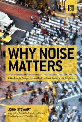 Book cover for Why Noise Matters