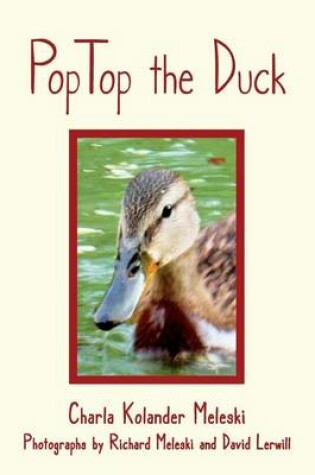 Cover of Poptop the Duck