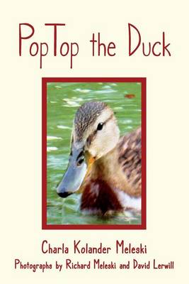 Book cover for Poptop the Duck