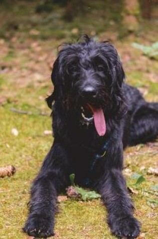 Cover of Labradoodle Schnauzer aka King Poodle Dog Journal