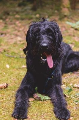 Book cover for Labradoodle Schnauzer aka King Poodle Dog Journal