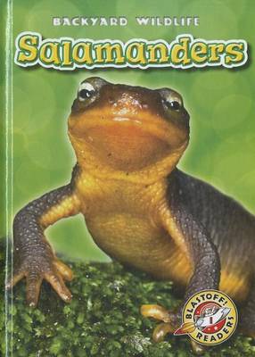 Book cover for Salamanders
