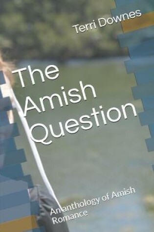 Cover of The Amish Question