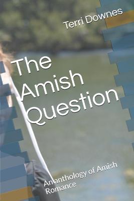 Book cover for The Amish Question
