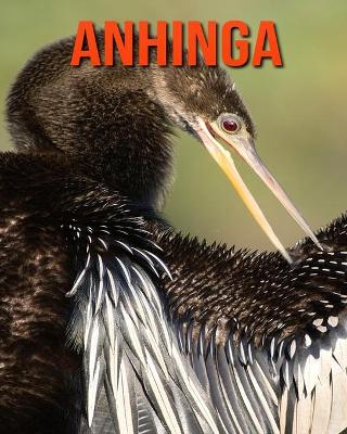 Book cover for Anhinga