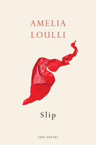 Cover of Slip