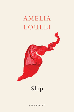 Book cover for Slip