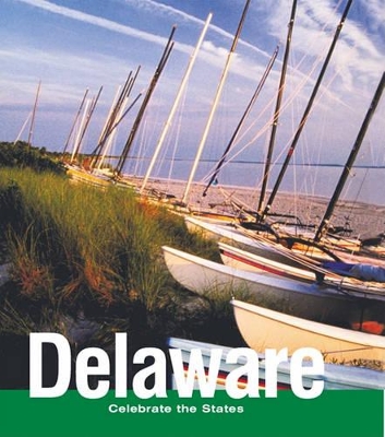 Book cover for Delaware