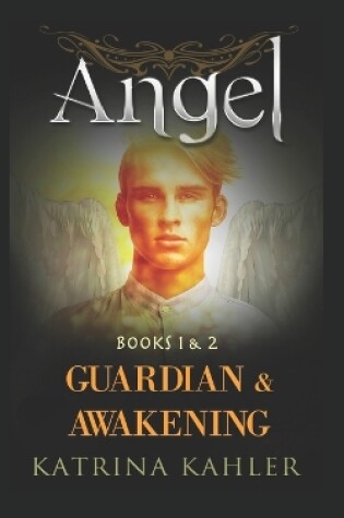 Cover of ANGEL - Books 1 and 2