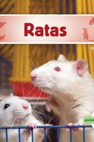 Cover of Ratas (Rats)