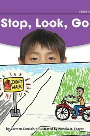 Cover of Stop, Look, Go Leveled Text