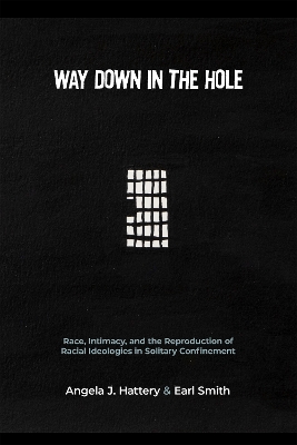 Book cover for Way Down in the Hole