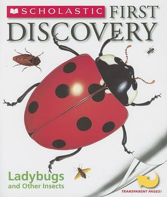 Book cover for Ladybugs and Other Insects