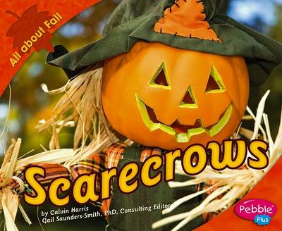 Cover of Scarecrows