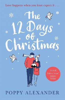 Book cover for The 12 Days of Christmas