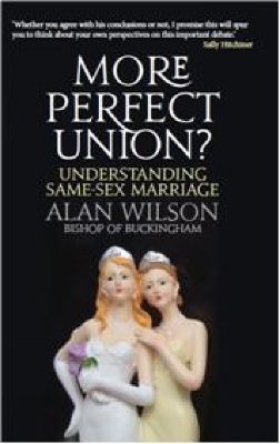 Book cover for More Perfect Union?