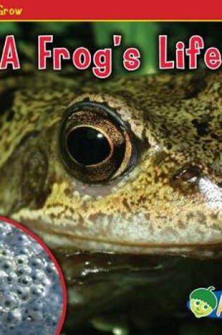 Cover of A Frog's Life