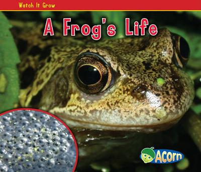 Cover of A Frog's Life