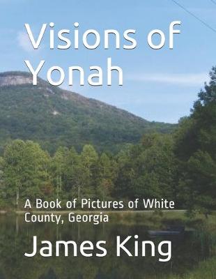 Book cover for Visions of Yonah