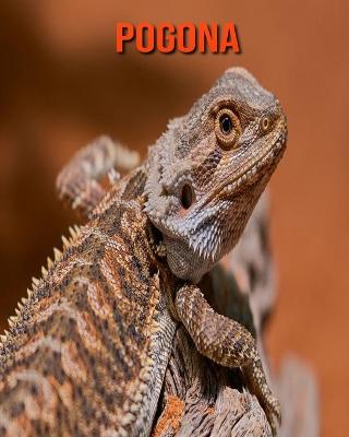 Book cover for Pogona